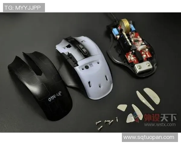 100Thieves挑战先锋的崛起与电竞未来的无限可能性探讨