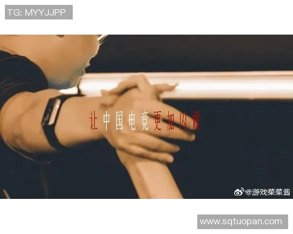 PEL仙崽的成长之路与未来展望：探索新机遇与挑战